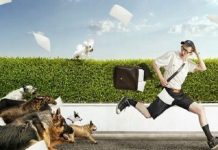Mơ bị chó cắn đánh con bao nhiêu