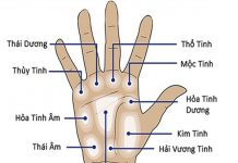 3 đường chỉ tay giúp bạn thăng tiến sự nghiệp khi đi nước ngoài