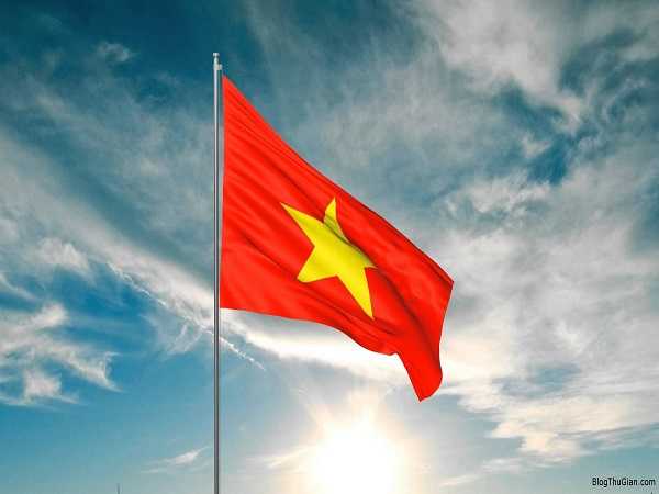 Giải mã giấc mơ thấy lá cơ