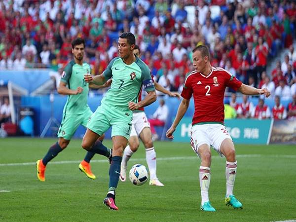 Dự đoán Châu Á trận Hungary vs Bồ Đào Nha (23h00 ngày 15/6)