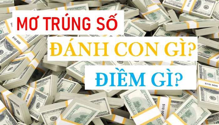 mo thay trung só