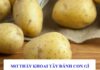giấc mơ thấy khoai tây