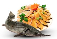 Cá tầm bao nhiêu calo? Bật mí lượng calo trong cá tầm
