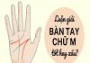 Bàn tay chữ M là gì