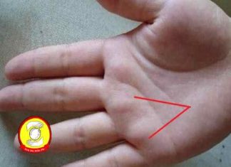 Xem bói chỉ tay chữ V chuẩn xác về vận mệnh, tướng số