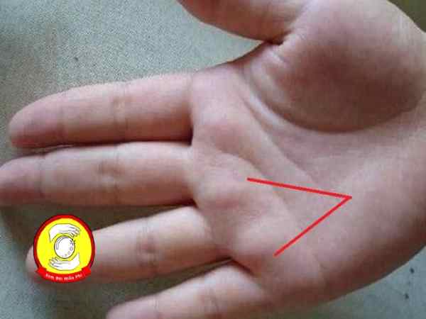 Xem bói chỉ tay chữ V chuẩn xác về vận mệnh, tướng số