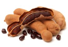 Nhìn thấy ăn me báo hiệu điều gì mua vé số con gì đẹp
